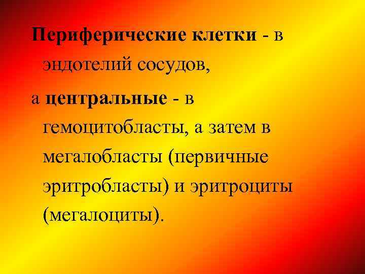 Периферические клетки - в эндотелий сосудов, а центральные - в гемоцитобласты, а затем в