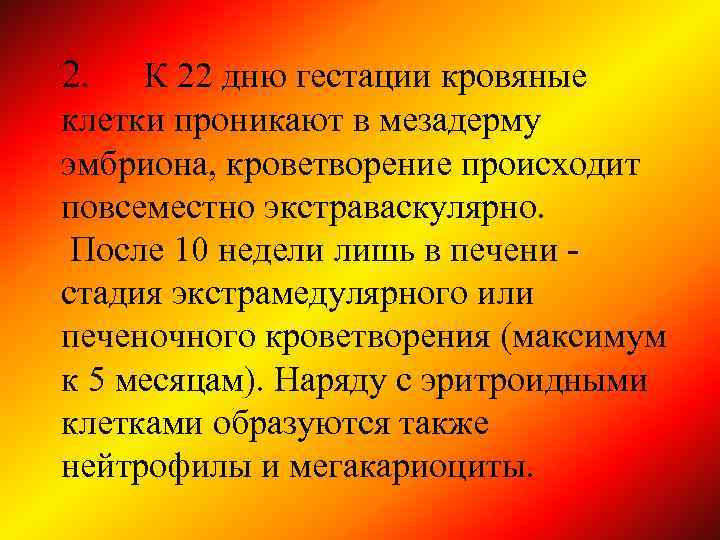 2. К 22 дню гестации кровяные клетки проникают в мезадерму эмбриона, кроветворение происходит повсеместно