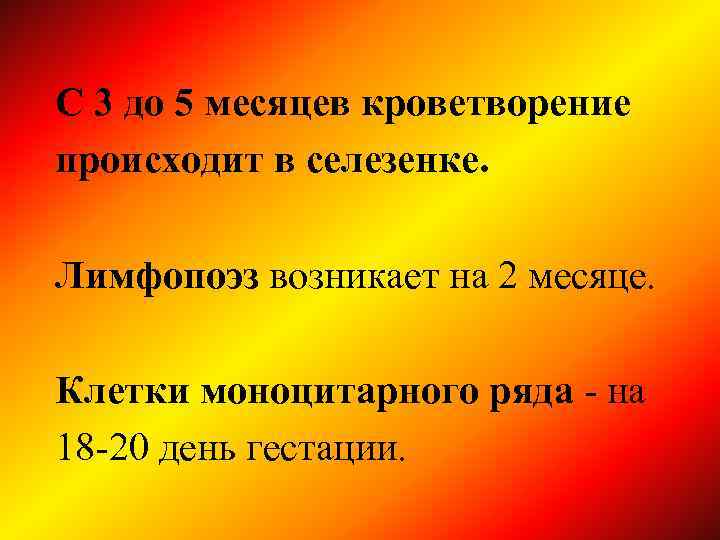 С 3 до 5 месяцев кроветворение происходит в селезенке. Лимфопоэз возникает на 2 месяце.