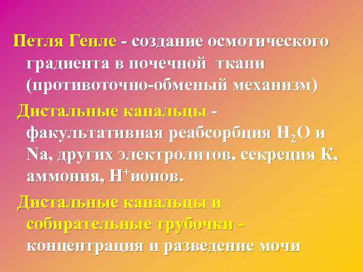 Петля Генле - создание осмотического градиента в почечной ткани (противоточно-обменый механизм) Дистальные канальцы факультативная