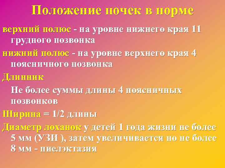 Положение норма. Положение почек в норме. Нормальное положение почек на уровне. Почки в норме расположены на уровне. Нормальное положение почек в норме.