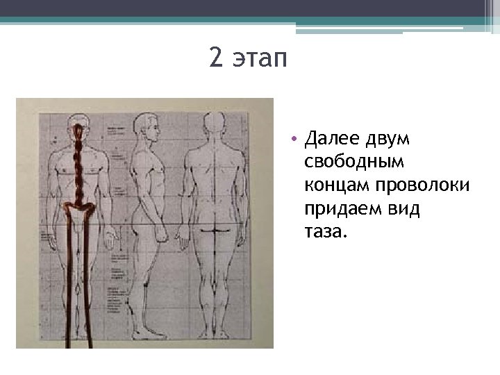 2 этап • Далее двум свободным концам проволоки придаем вид таза. 
