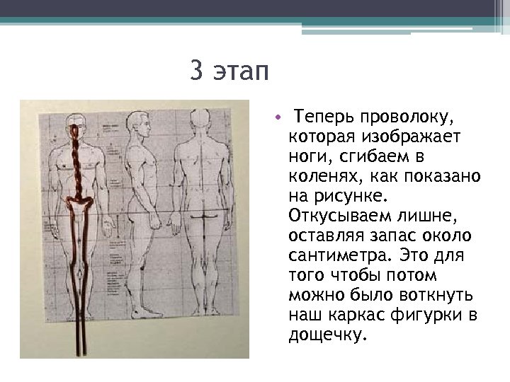 Презентация 7 класс пропорции и строение фигуры человека изо 7 класс