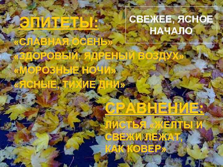 ЭПИТЕТЫ: СВЕЖЕЕ, ЯСНОЕ НАЧАЛО «СЛАВНАЯ ОСЕНЬ» «ЗДОРОВЫЙ, ЯДРЕНЫЙ ВОЗДУХ» «МОРОЗНЫЕ НОЧИ» «ЯСНЫЕ, ТИХИЕ ДНИ»