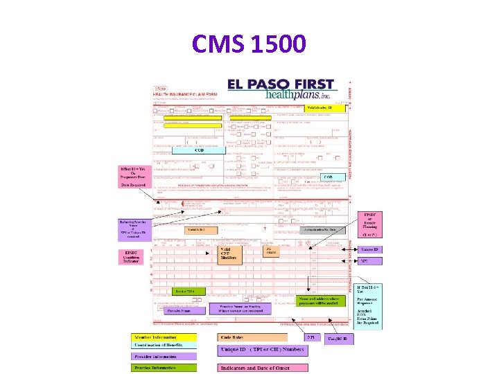 CMS 1500 