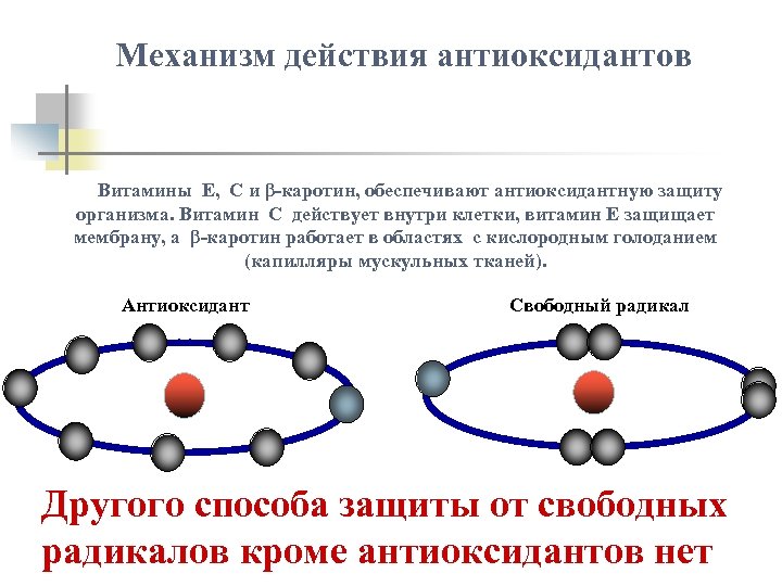 Механизм действия антиоксидантов Витамины Е, С и β-каротин, обеспечивают антиоксидантную защиту организма. Витамин С