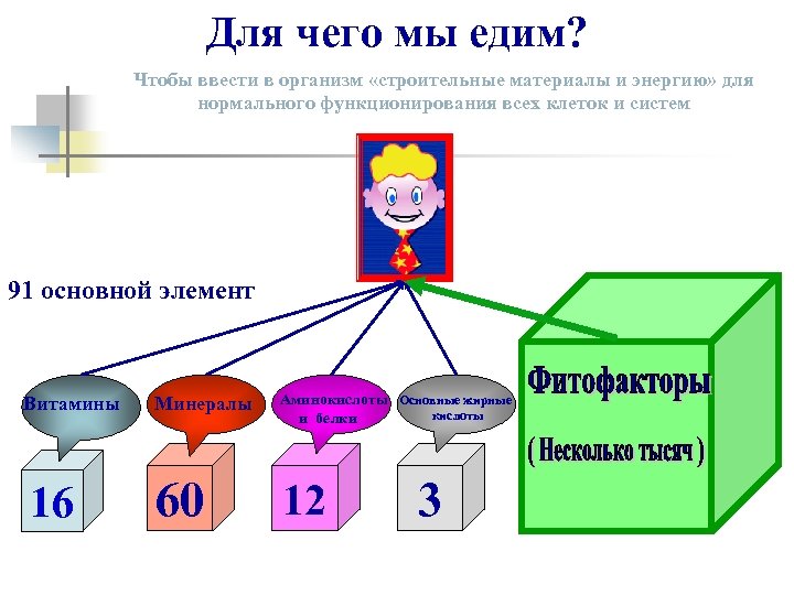 Для чего мы едим? Чтобы ввести в организм «строительные материалы и энергию» для нормального