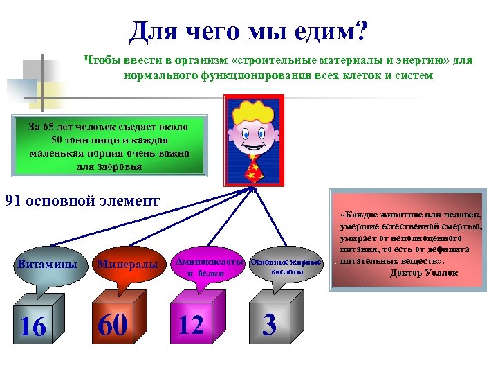 Для чего мы едим? Чтобы ввести в организм «строительные материалы и энергию» для нормального