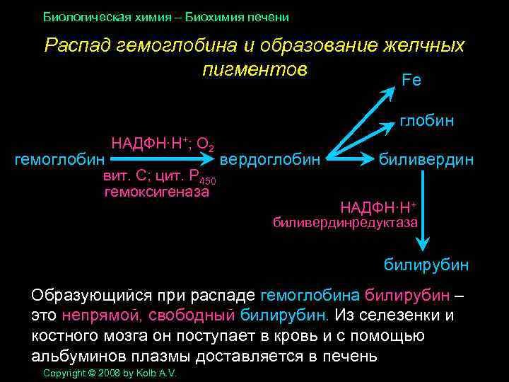 Биологическая химия – Биохимия печени Распад гемоглобина и образование желчных пигментов Fe глобин гемоглобин