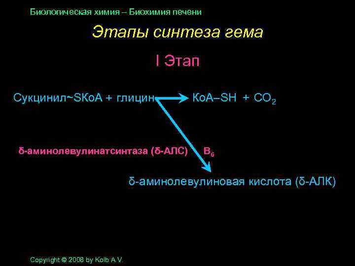 Биологическая химия – Биохимия печени Этапы синтеза гема I Этап Сукцинил~SКо. А + глицин