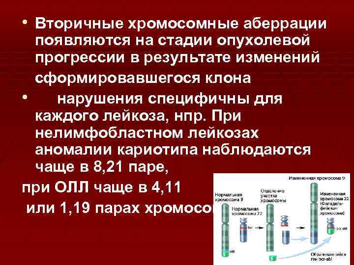  • Вторичные хромосомные аберрации появляются на стадии опухолевой прогрессии в результате изменений сформировавшегося