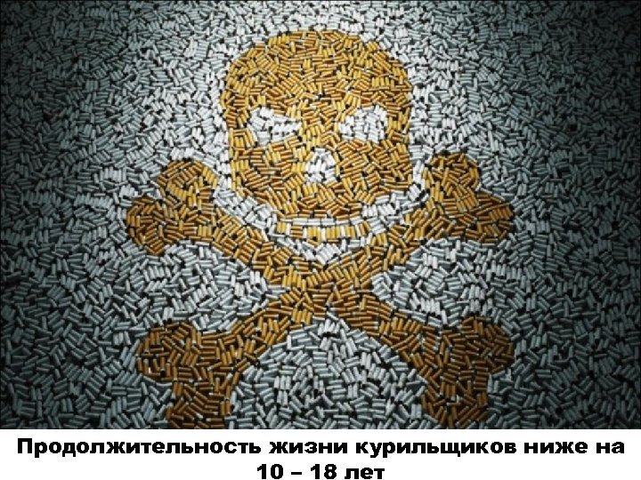 Продолжительность жизни курильщиков ниже на 10 – 18 лет 