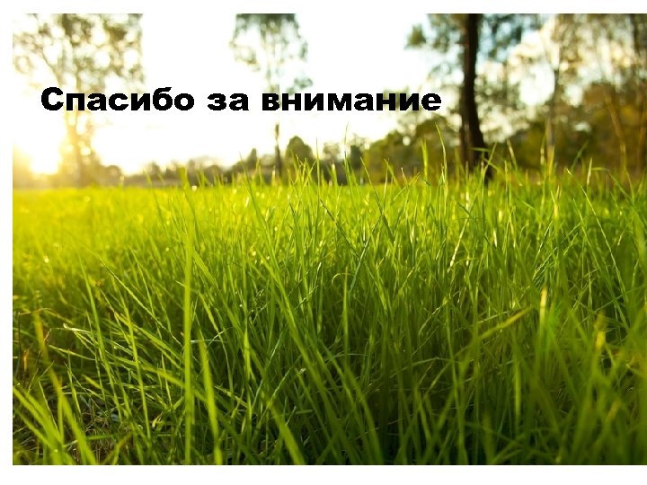 Спасибо за внимание 