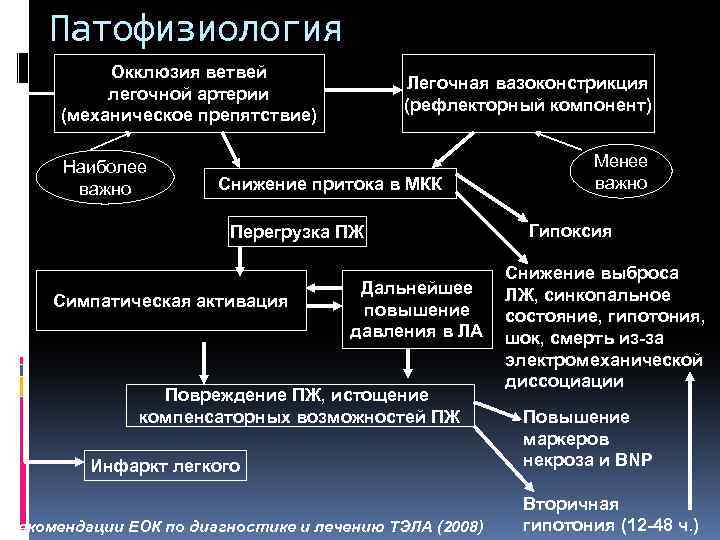 Патофизиология Окклюзия ветвей легочной артерии (механическое препятствие) Наиболее важно Легочная вазоконстрикция (рефлекторный компонент) Снижение