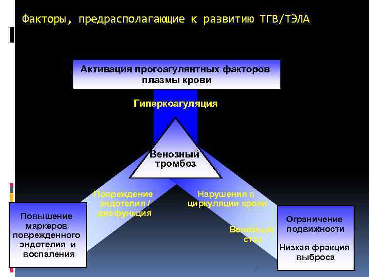 Факторы, предрасполагающие к развитию ТГВ/ТЭЛА Активация прогоагулянтных факторов плазмы крови Гиперкоагуляция Венозный тромбоз Повышение