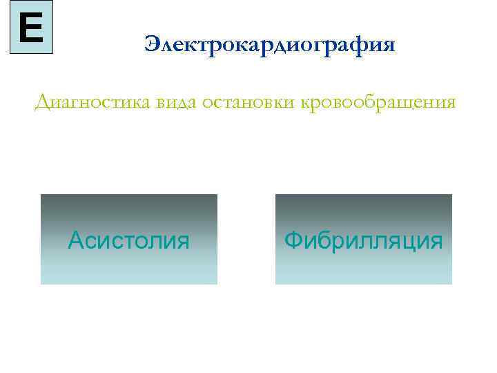 E Электрокардиография Диагностика вида остановки кровообращения Асистолия Фибрилляция 