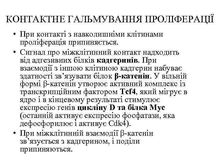 КОНТАКТНЕ ГАЛЬМУВАННЯ ПРОЛІФЕРАЦІЇ • При контакті з навколишніми клітинами проліферація припиняється. • Сигнал про