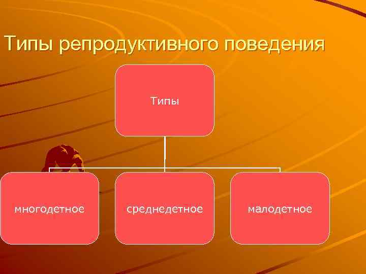 Типы репродуктивного поведения Типы многодетное среднедетное малодетное 