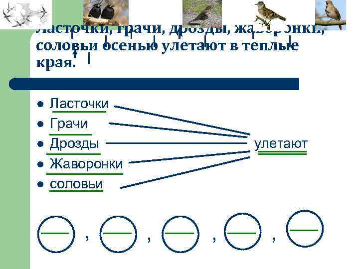Ласточки, грачи, дрозды, жаворонки, соловьи осенью улетают в теплые края. l l l Ласточки
