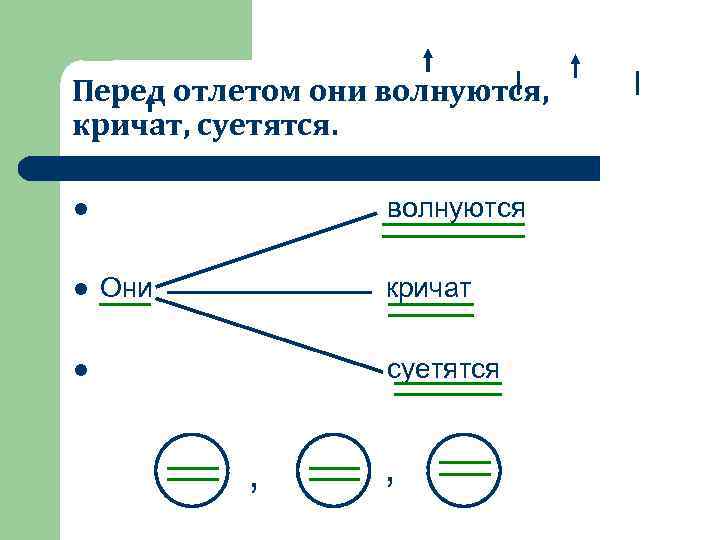Перед отлетом они волнуются, кричат, суетятся. волнуются l l Они кричат суетятся l ,
