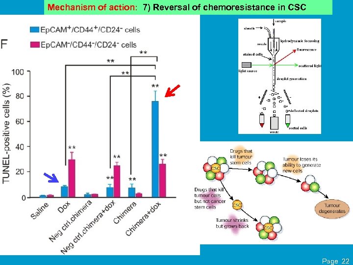 Mechanism of action: 7) Reversal of chemoresistance in CSC Page 22 