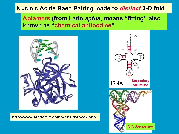 Nucleic Acids Base Pairing leads to distinct 3 -D fold Aptamers (from Latin aptus,