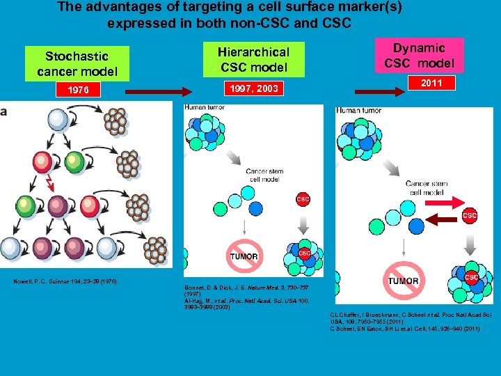 The advantages of targeting a cell surface marker(s) expressed in both non-CSC and CSC