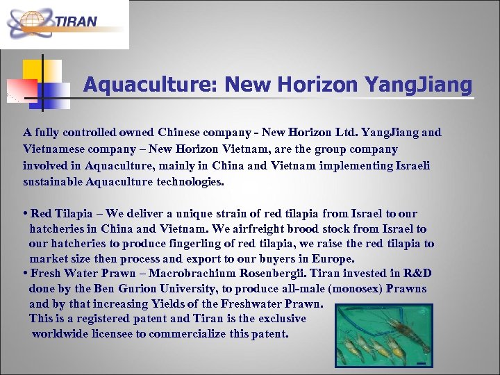 Aquaculture: New Horizon Yang. Jiang A fully controlled owned Chinese company - New Horizon