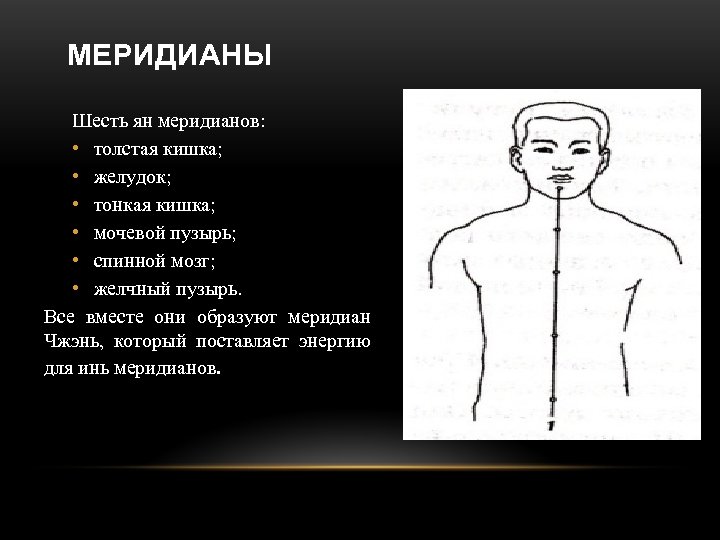 МЕРИДИАНЫ Шесть ян меридианов: • толстая кишка; • желудок; • тонкая кишка; • мочевой