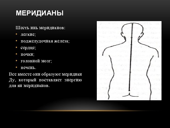 МЕРИДИАНЫ Шесть инь меридианов: • легкие; • поджелудочная железа; • сердце; • почки; •
