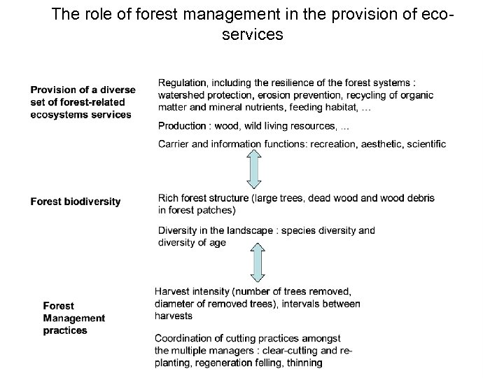 The role of forest management in the provision of ecoservices 