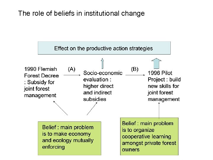 The role of beliefs in institutional change 