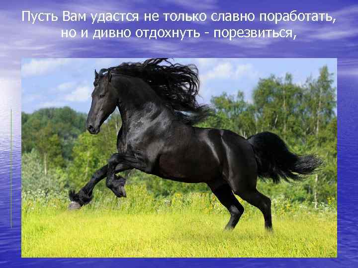 Пусть Вам удастся не только славно поработать, но и дивно отдохнуть - порезвиться, 