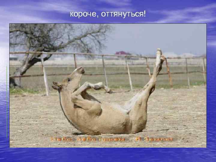 короче, оттянуться! 