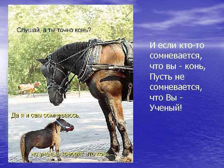 И если кто-то сомневается, что вы - конь, Пусть не сомневается, что Вы Ученый!