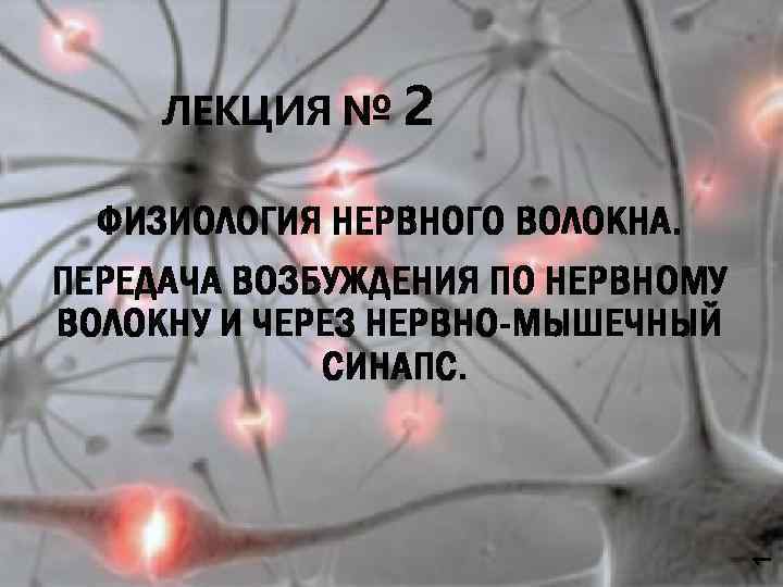 ЛЕКЦИЯ № 2 1 ФИЗИОЛОГИЯ НЕРВНОГО ВОЛОКНА. ПЕРЕДАЧА ВОЗБУЖДЕНИЯ ПО НЕРВНОМУ ВОЛОКНУ И ЧЕРЕЗ