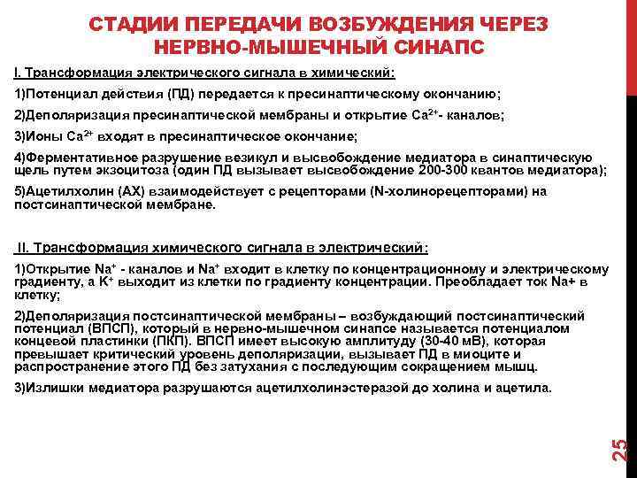 СТАДИИ ПЕРЕДАЧИ ВОЗБУЖДЕНИЯ ЧЕРЕЗ НЕРВНО-МЫШЕЧНЫЙ СИНАПС I. Трансформация электрического сигнала в химический: 1)Потенциал действия