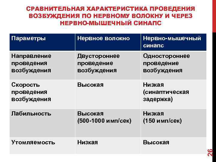 СРАВНИТЕЛЬНАЯ ХАРАКТЕРИСТИКА ПРОВЕДЕНИЯ ВОЗБУЖДЕНИЯ ПО НЕРВНОМУ ВОЛОКНУ И ЧЕРЕЗ НЕРВНО-МЫШЕЧНЫЙ СИНАПС Нервное волокно Нервно-мышечный