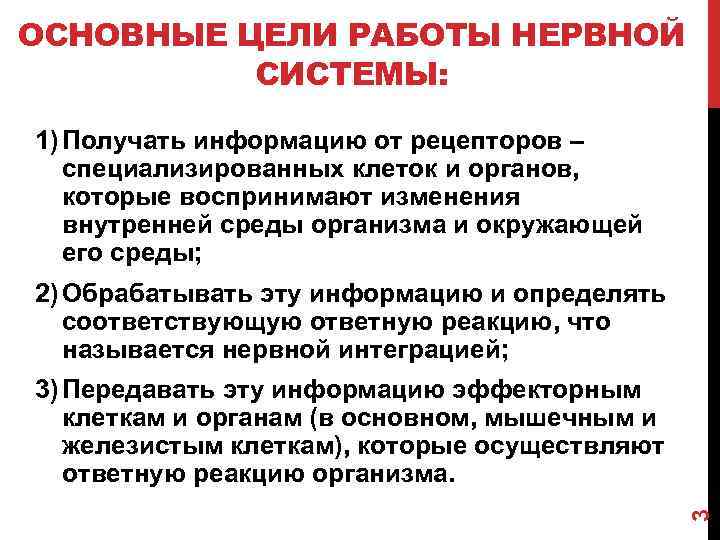 ОСНОВНЫЕ ЦЕЛИ РАБОТЫ НЕРВНОЙ СИСТЕМЫ: 1) Получать информацию от рецепторов – специализированных клеток и