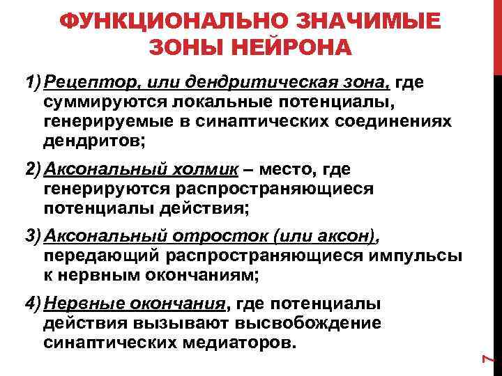 Функционально значимый. Функциональные зоны нейрона. Аксональный это значит. Зона функционального контакта двух нейронов сколько их используют. Аксональный что значит простыми словами.