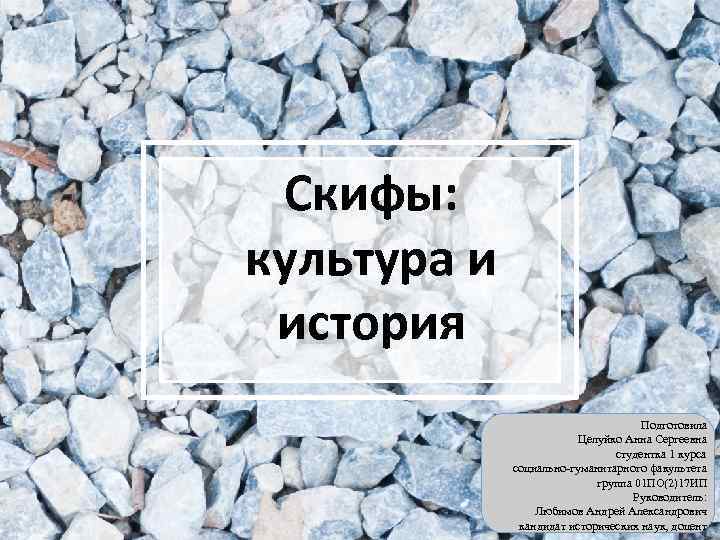 Скифы: культура и история Подготовила Целуйко Анна Сергеевна студентка 1 курса социально-гуманитарного факультета группа