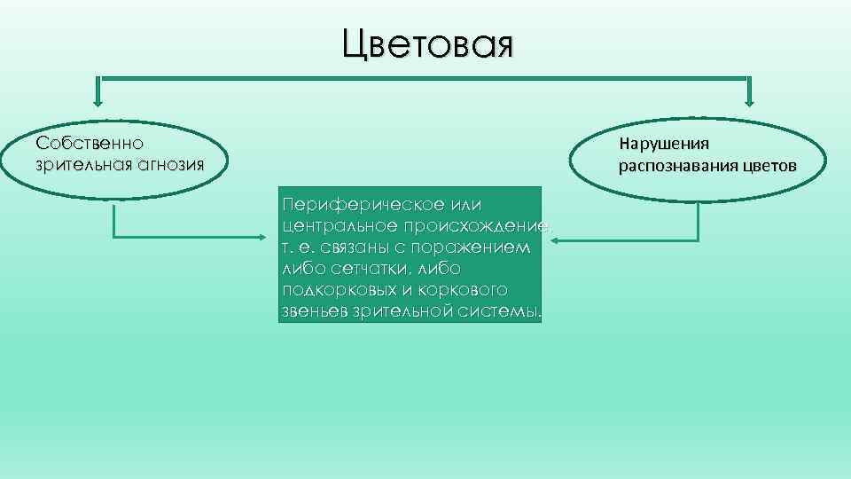 Цветовая Нарушения распознавания цветов Собственно зрительная агнозия Периферическое или центральное происхождение, т. е. связаны