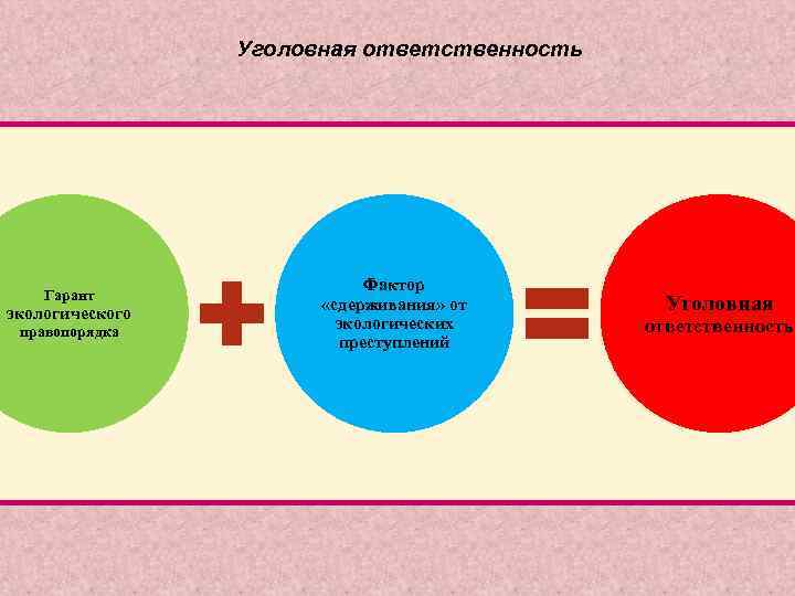 Уголовная ответственность Гарант экологического правопорядка Фактор «сдерживания» от экологических преступлений Уголовная ответственность 