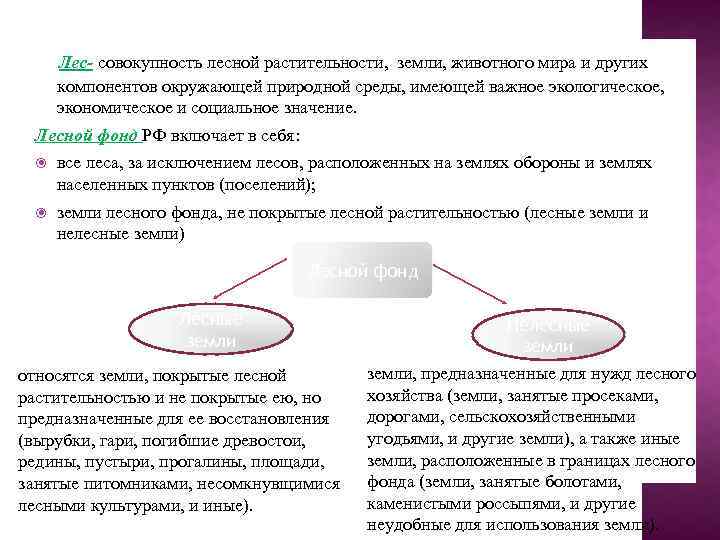 Лес- совокупность лесной растительности, земли, животного мира и других компонентов окружающей природной среды, имеющей