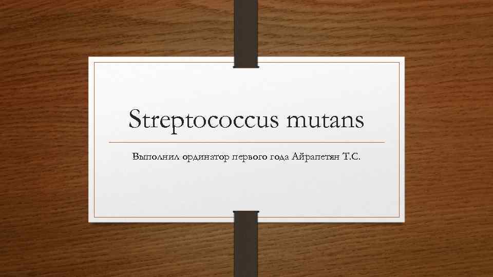 Streptococcus mutans Выполнил ординатор первого года Айрапетян Т. С. 