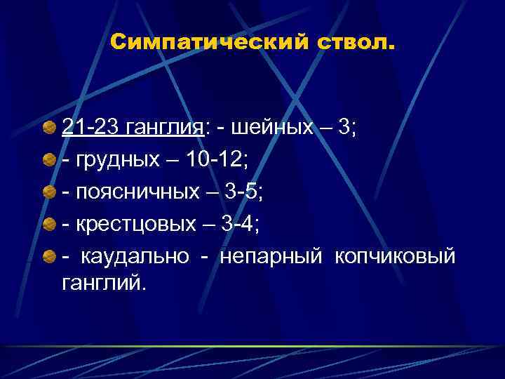Симпатический ствол. 21 23 ганглия: шейных – 3; грудных – 10 12; поясничных –