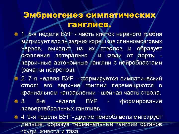 Эмбриогенез симпатических ганглиев. 1. 5 я неделя ВУР часть клеток нервного гребня мигрирует вдоль