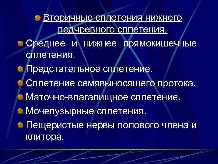 Вторичные сплетения нижнего подчревного сплетения. Среднее и нижнее прямокишечные сплетения. Предстательное сплетение. Сплетение семявыносящего