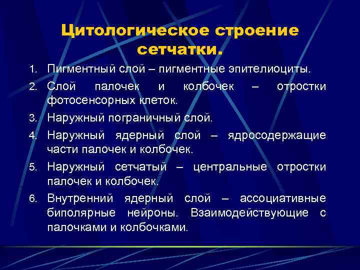 Цитологическое строение сетчатки. 1. Пигментный слой – пигментные эпителиоциты. 2. Слой 3. 4. 5.