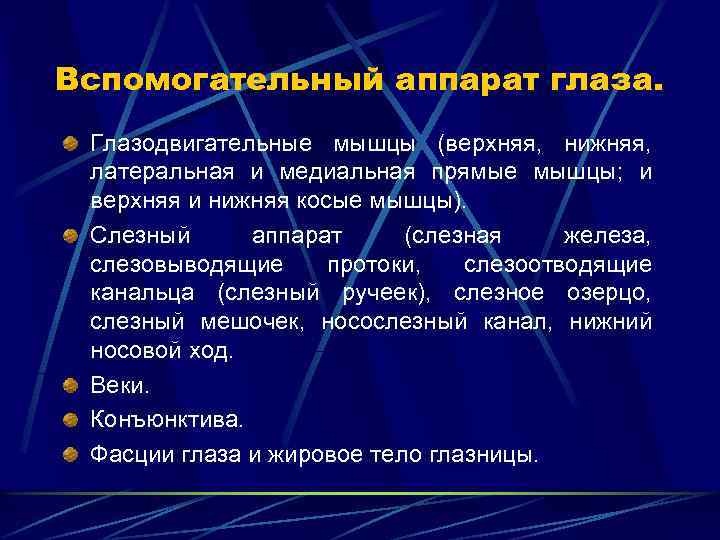 Вспомогательный аппарат глаза. Глазодвигательные мышцы (верхняя, нижняя, латеральная и медиальная прямые мышцы; и верхняя